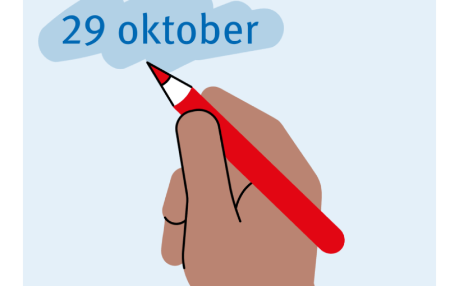 Verkiezingen1-aspect-ratio-800-500