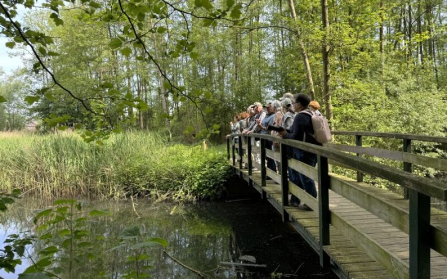 Vogelexcursie-Groene-Long-aspect-ratio-800-500
