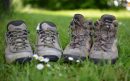 Wandelschoenen   Gemert-Bakel-aspect-ratio-800-500