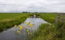 Waternet-aspect-ratio-800-500