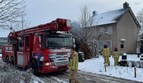 WhatsApp-Image-2026-01-02-at-13.26.10-aspect-ratio-800-500