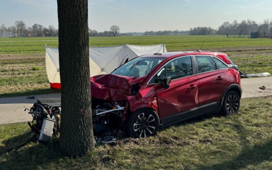 WhatsApp-Image-2026-03-19-at-10.44.34-aspect-ratio-800-500