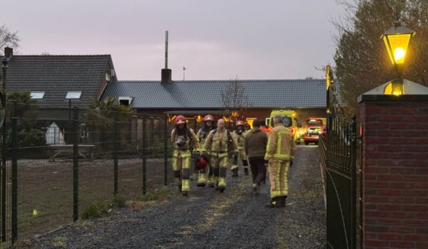 WhatsApp-Image-2026-04-11-at-20.40.14-aspect-ratio-800-500