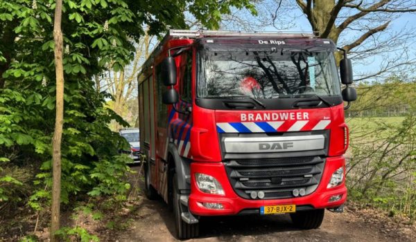 WhatsApp-Image-2026-04-17-at-10.18.33-aspect-ratio-800-500