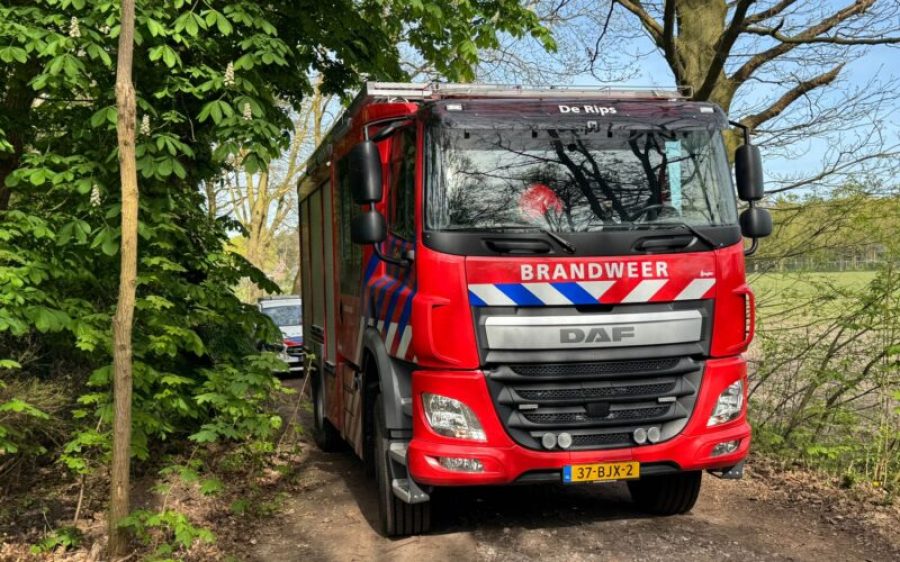 WhatsApp-Image-2026-04-17-at-10.18.33-aspect-ratio-800-500