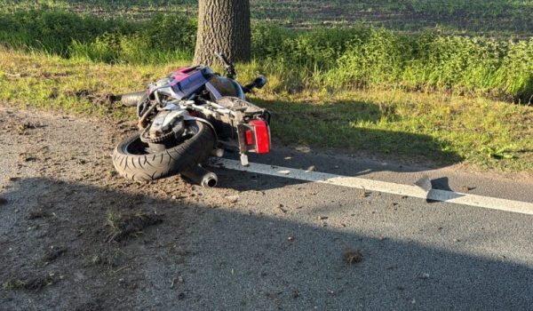 WhatsApp-Image-2026-04-28-at-19.08.19-aspect-ratio-800-500