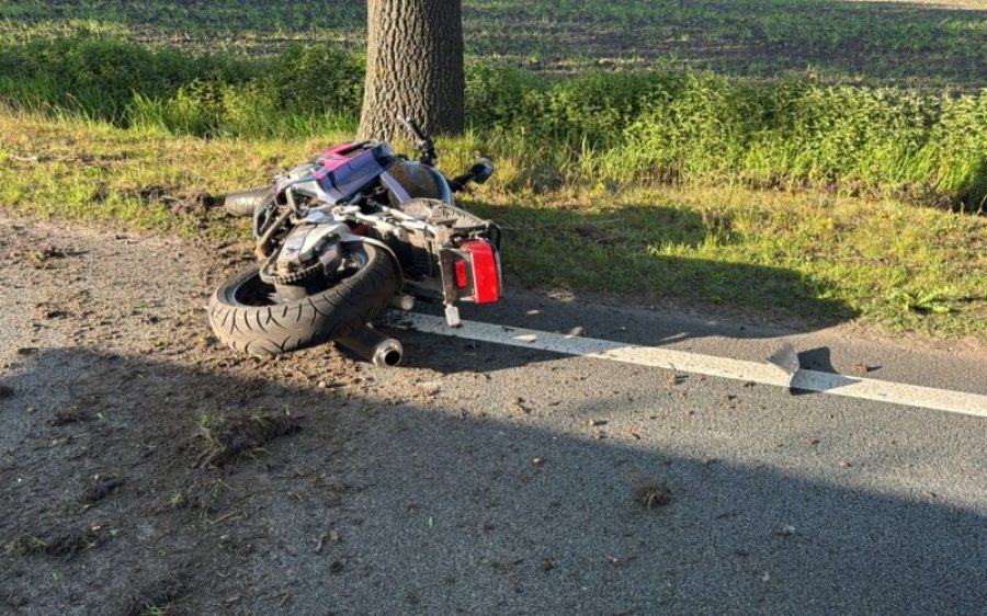 WhatsApp-Image-2026-04-28-at-19.08.19-aspect-ratio-800-500