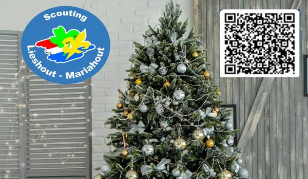 Xmas-tree-3-scaled-aspect-ratio-800-500