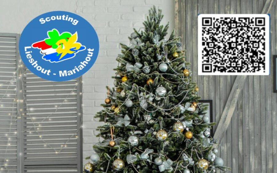 Xmas-tree-3-scaled-aspect-ratio-800-500