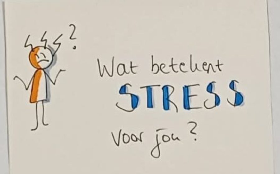 Ypse.nl_-aspect-ratio-800-500