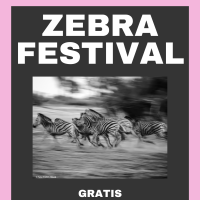 ZEBRA-FESTIVAL-POSTER-1-aspect-ratio-500-500