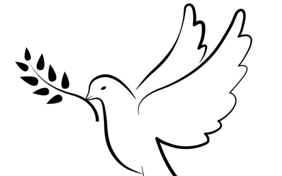 ambassade-voor-de-Vrede-aspect-ratio-800-500