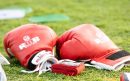 anilsharma26-boxing-gloves-8503136_1280-aspect-ratio-800-500