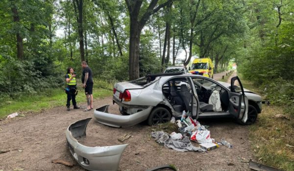 auto botst op 2 bomen 1-aspect-ratio-800-500