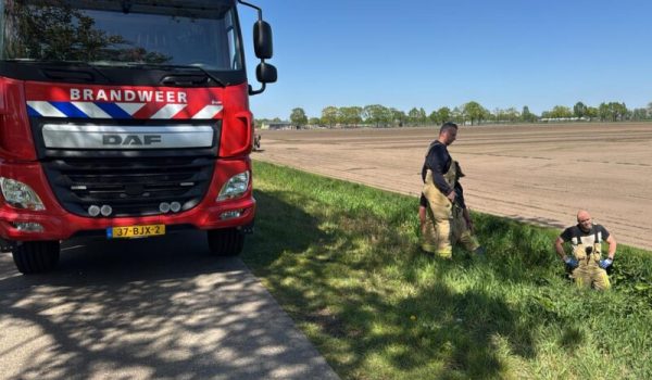 b5ae16e7-4771-4fcc-b79c-c7e5d79d37f2-aspect-ratio-800-500