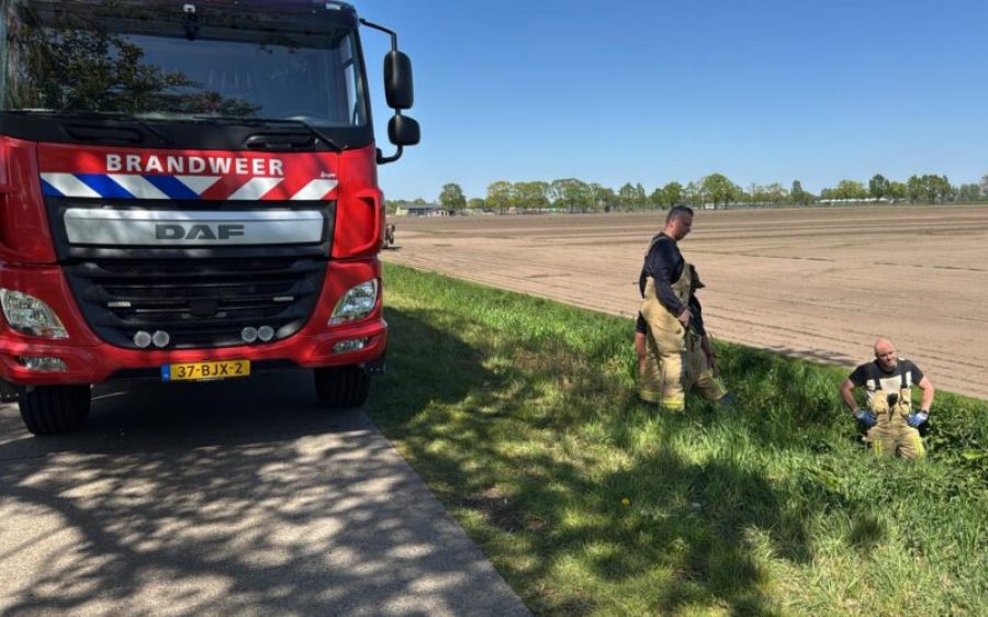 b5ae16e7-4771-4fcc-b79c-c7e5d79d37f2-aspect-ratio-800-500