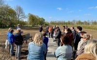 bankje-Laarbeek-aspect-ratio-800-500