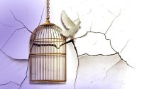 birdcage-454467_1280-aspect-ratio-800-500