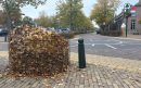 bladbakken-14-10-25-aspect-ratio-800-500