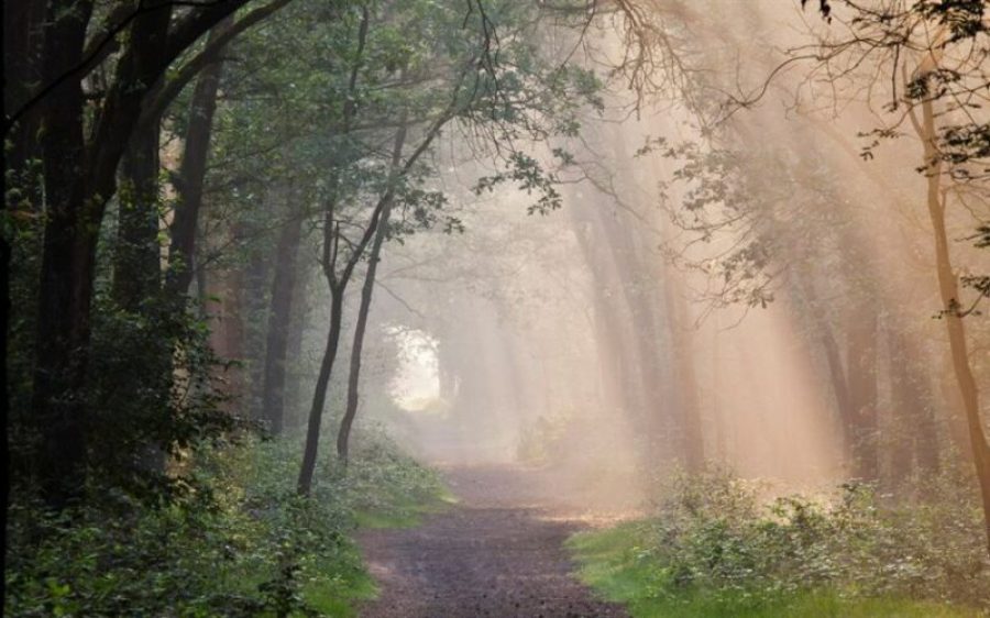 brabant.nl_-aspect-ratio-800-500