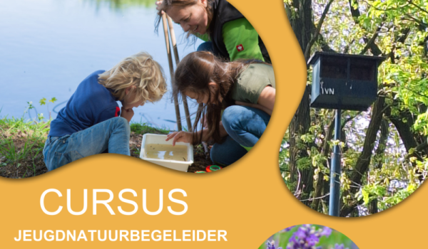 cursus-jeugdnatuur_2026_flyer-aspect-ratio-800-500