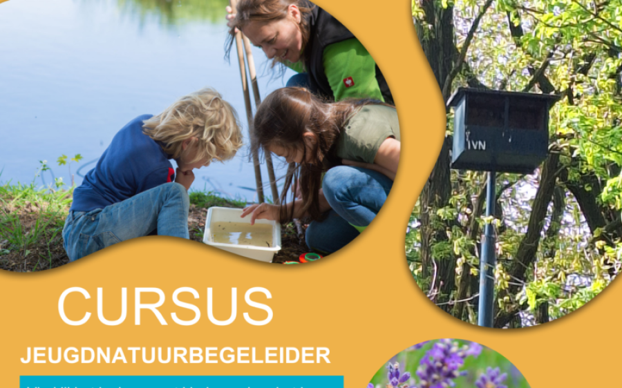 cursus-jeugdnatuur_2026_flyer-aspect-ratio-800-500
