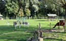 dierenpart-t-Regter-Eind-aspect-ratio-800-500