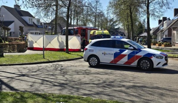 f5204376-fe4e-436d-97e0-a3f12e2362a1-aspect-ratio-800-500