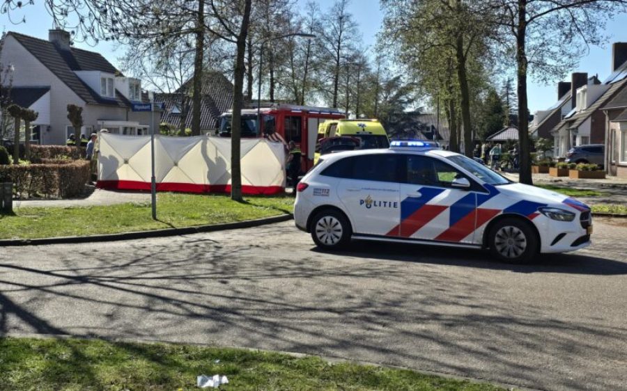 f5204376-fe4e-436d-97e0-a3f12e2362a1-aspect-ratio-800-500