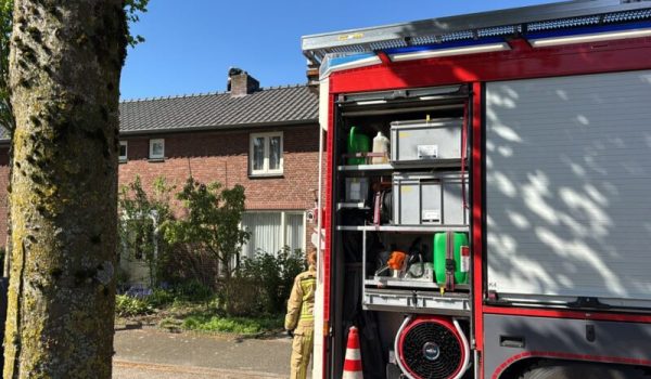 f7772bd9-93b7-4b02-b035-84a43dca8719-aspect-ratio-800-500