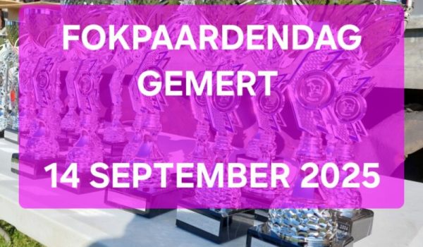 fokpaardendag-Gemert-aspect-ratio-800-500