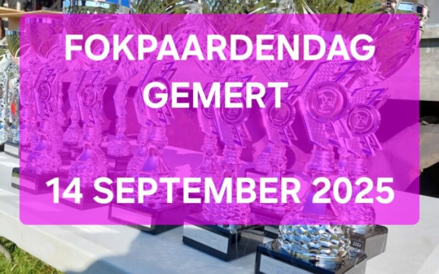 fokpaardendag-Gemert-aspect-ratio-800-500