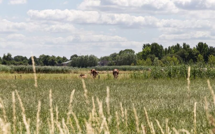 gemeente-Gemert-Bakel-aspect-ratio-800-500