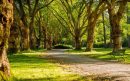 groenonderhoud-door-particulieren.700x400-1-aspect-ratio-800-500