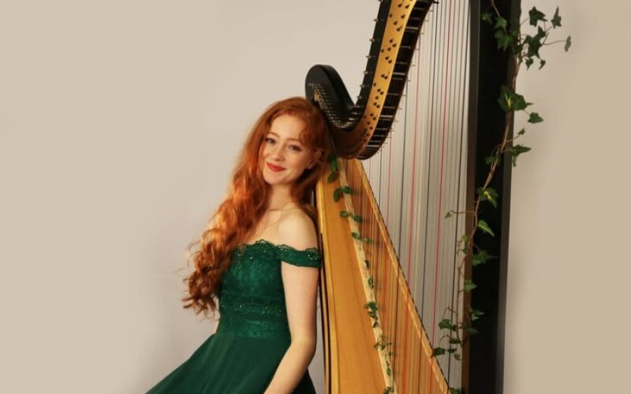 harpiste-aspect-ratio-800-500