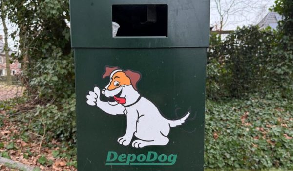 hondenprullenbak-aspect-ratio-800-500