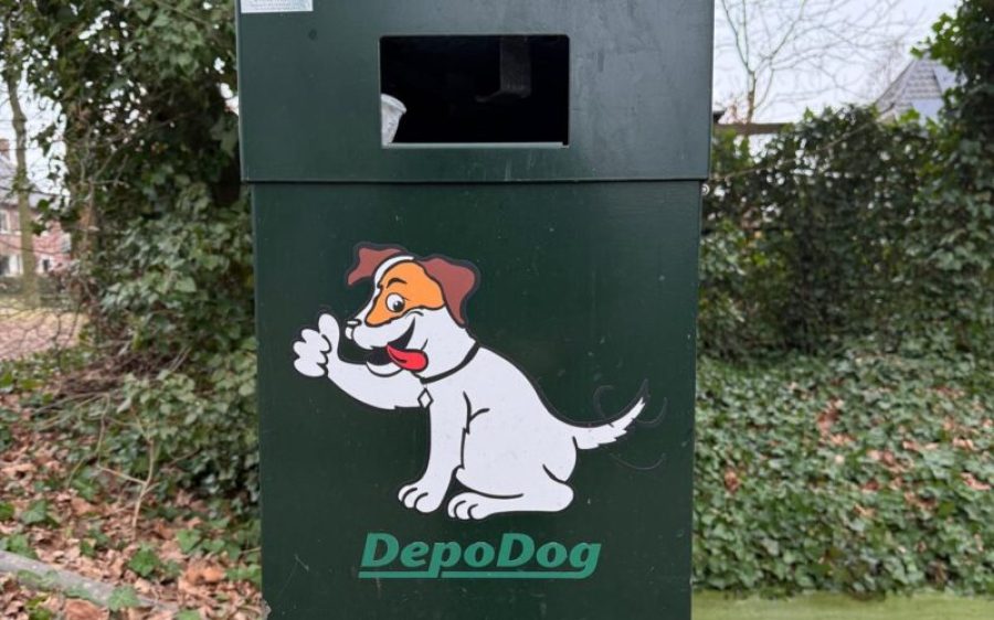 hondenprullenbak-aspect-ratio-800-500