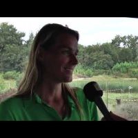 2023-08-19 Internationaal golftoernooi op golfbaan Stippelberg