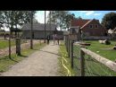 Handel | Activiteitenplek De Heerevelden viert jubileum met trots en plezier