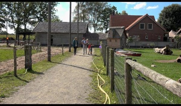 Handel | Activiteitenplek De Heerevelden viert jubileum met trots en plezier