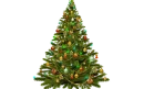 kerstboom-pixabay-aspect-ratio-800-500