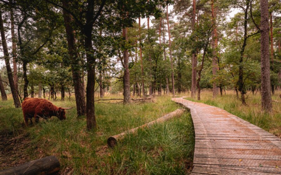 land-vd-peel-5-aspect-ratio-800-500 land-vd-peel-5-aspect-ratio-800-500