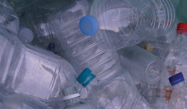 lege-flessen-Pixabay-aspect-ratio-800-500