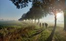 runnersclub Lieshout-aspect-ratio-800-500
