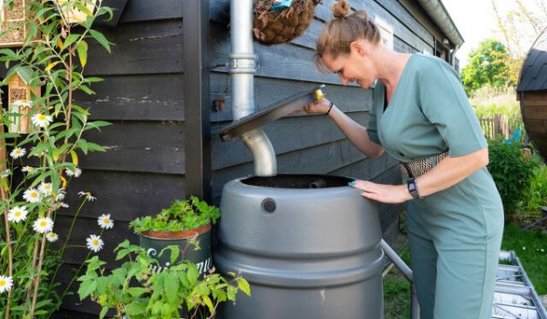 slim-gebruik-van-regenwater-in-klimaatvriendelijke-tuin.700x400-aspect-ratio-800-500