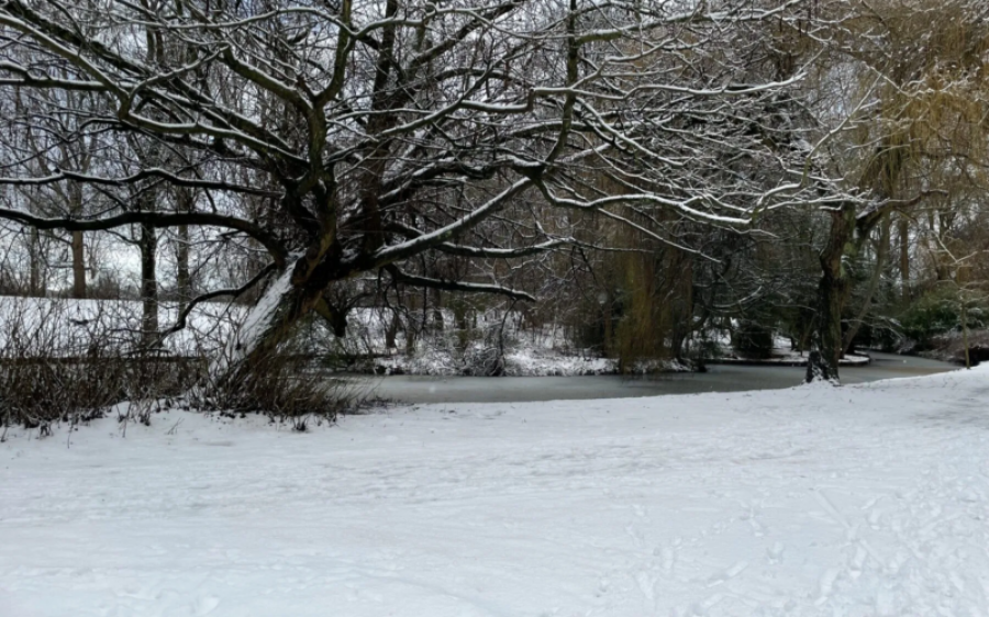 sneeuw-scaled-1800x0-c-center-aspect-ratio-800-500