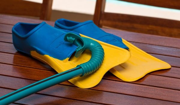 snorkelattributen-Pixabay-aspect-ratio-800-500