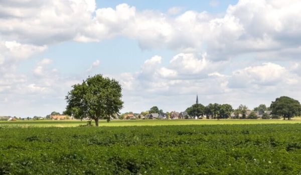 subsidie-aspect-ratio-800-500