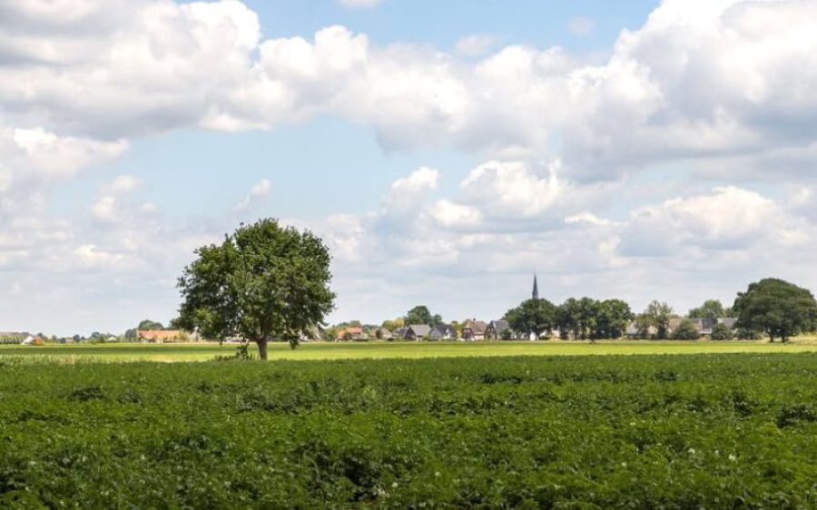 subsidie-aspect-ratio-800-500