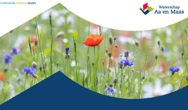 unnamed-1-aspect-ratio-800-500